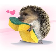Les Animaux Et Les Marques Le Herisson Ernie